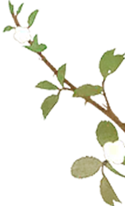 102459wuiuemrxf2bpf8uy.png