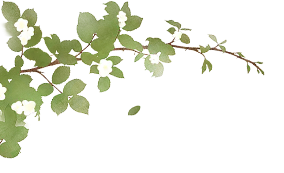 102504dn5cqdqqxtbzcpxa.png