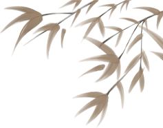 172621gpbzebpsog4jblxs.png