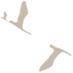 172622oh664ssv3f3ieqkr.png
