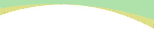 093335r1wmtktwpmt1n1nt.png