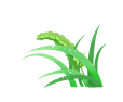 100721dwxwrrtrdg72trgt.gif