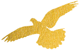092641flupxwu5bpmbdlx5.png