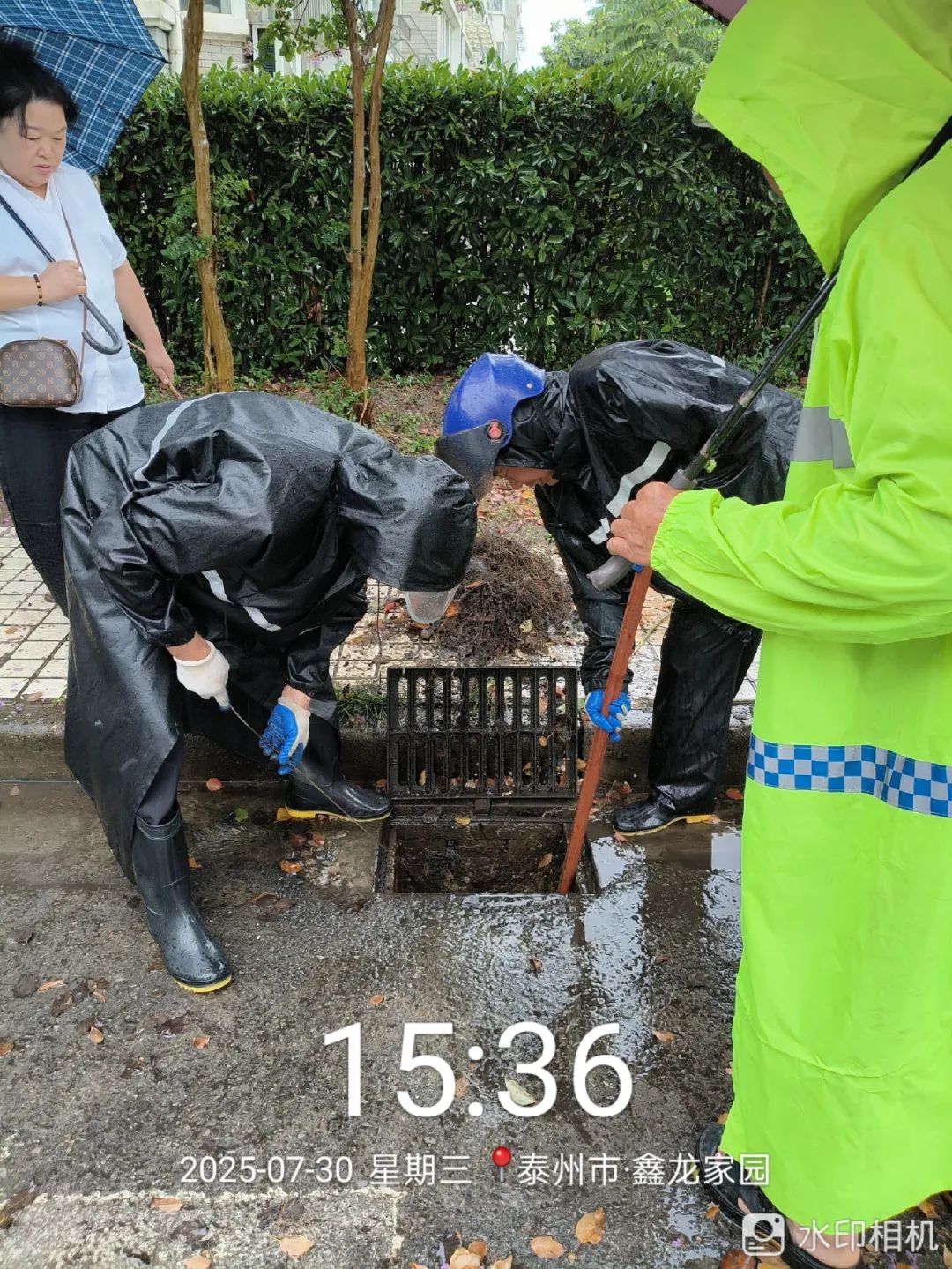 174556ae51arevzw5oeeww.jpeg