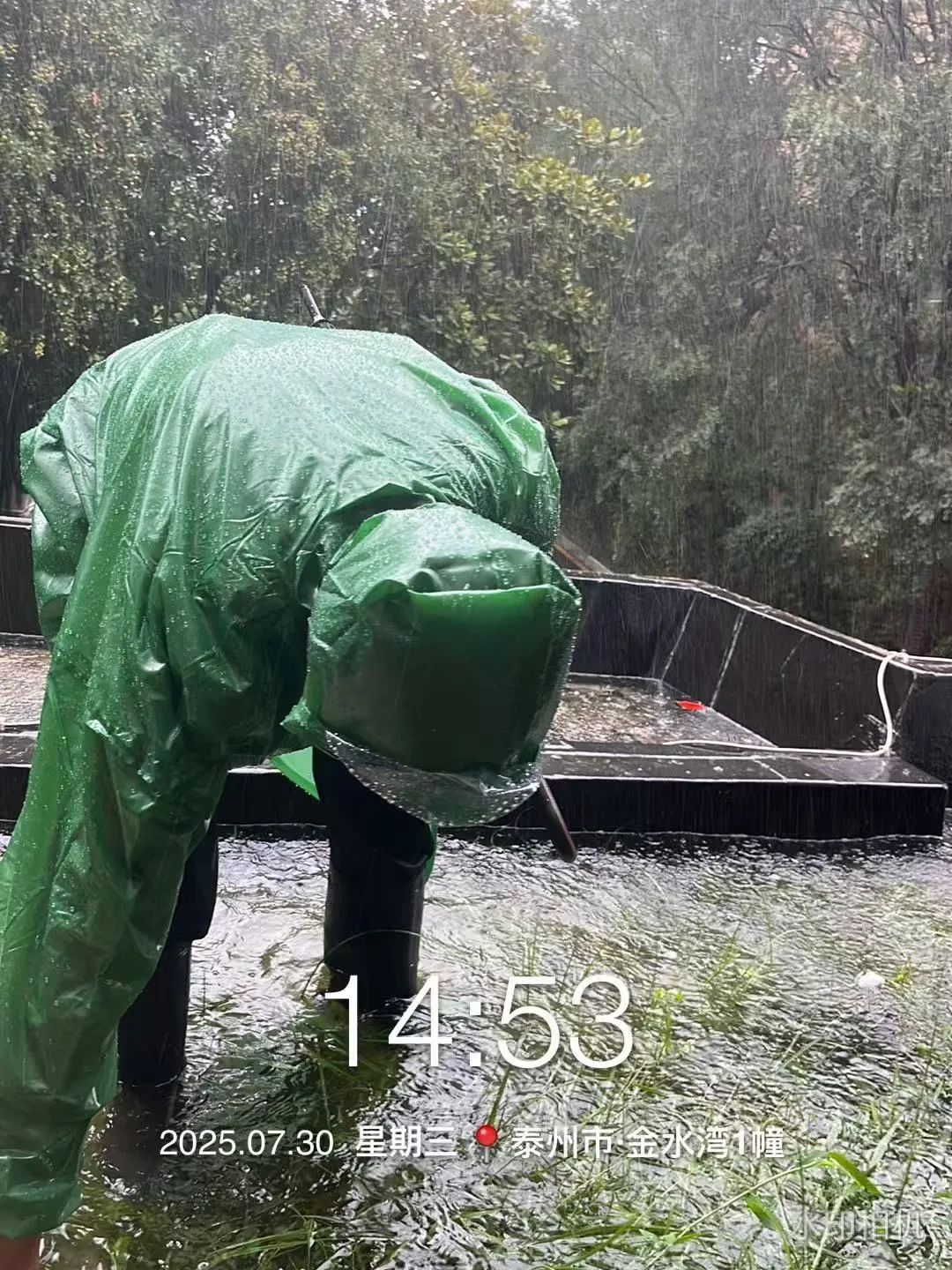 174557fpm0rphm6z00mzm0.jpeg