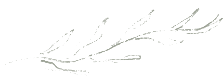 162043mpavsiylfl0eh222.png