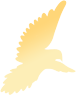 082217js1xu0cnyzz89sv3.png