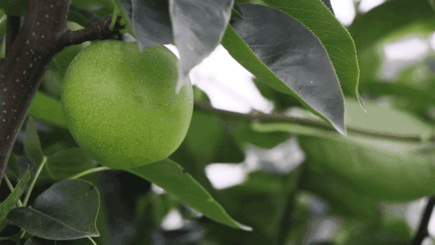 091647pexbbpbzlue7bbl2.gif