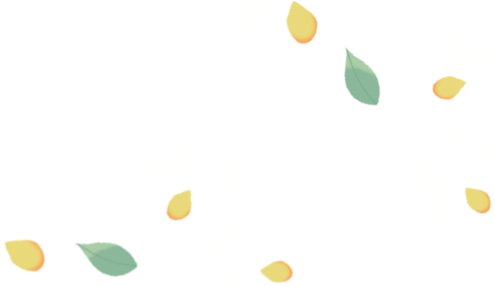 094514y1ki4y45sm3i6xpz.png