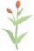 102833qwoha9ttw97a2lpp.png