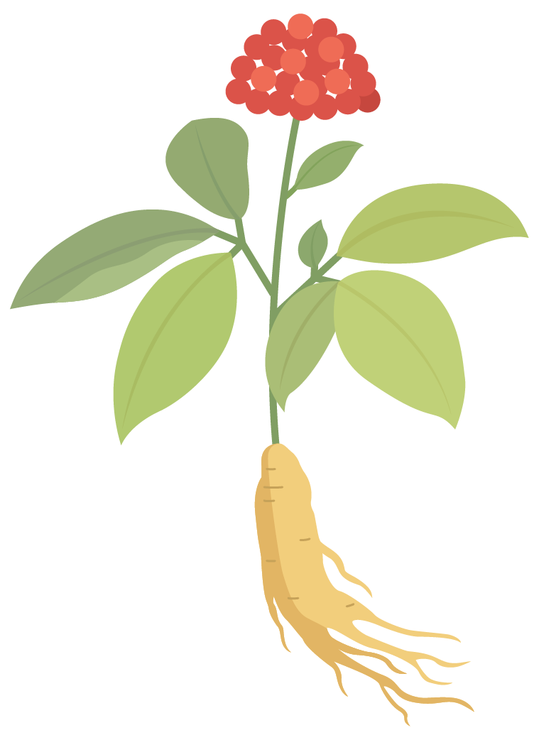 102834r3ibvvzxibjrv3ik.png