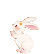 171446ttpx6wcx5cwwftwf.gif