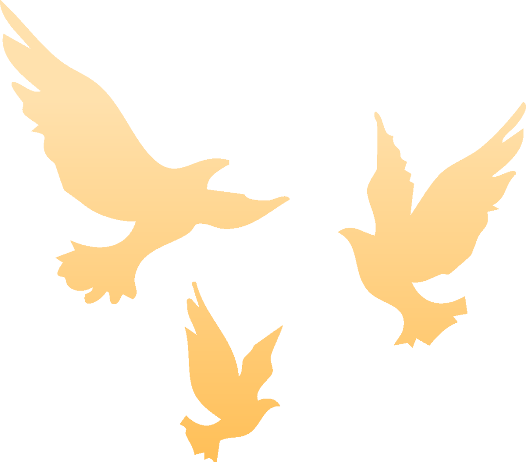 171852r866jj16u1t66d67.png