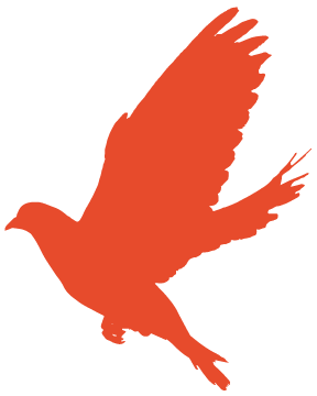 0b8d21b0b95b09502e98a56c9af673dc.png