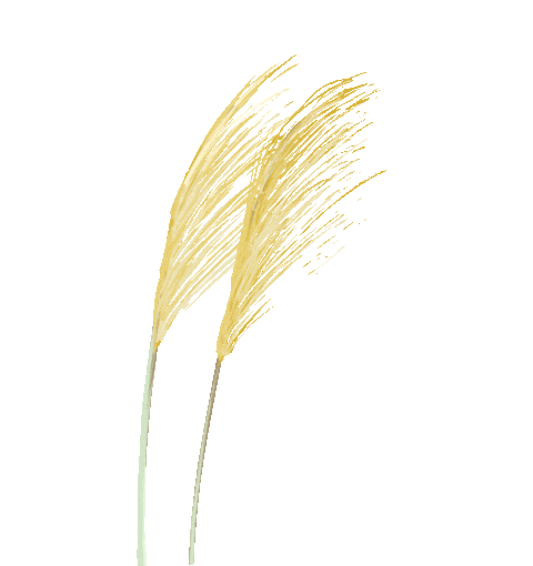 4ed3dbc7735ca20d8467ce867e97024a.gif