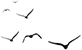 24a77b6e58be240c4052aa9725ab2717.png