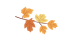 085659gn604c00fujj8frk.gif