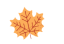 085659k57fyyeyxryypqy2.gif