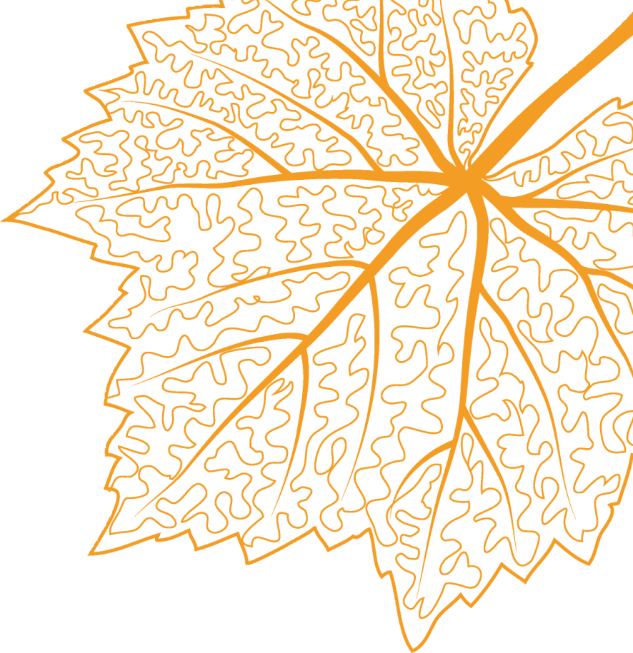4885c691ad522f032a991a4c8a295571.png