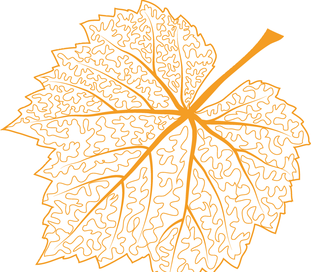 a281ebf48f64eabe3e0326779c674a26.png