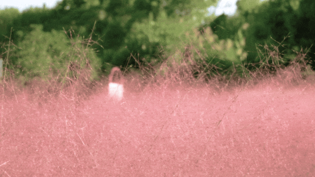 090800hz9tv8v3i5vzvz6w.gif