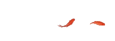 085938w7qvqggoyy1q1l1l.gif