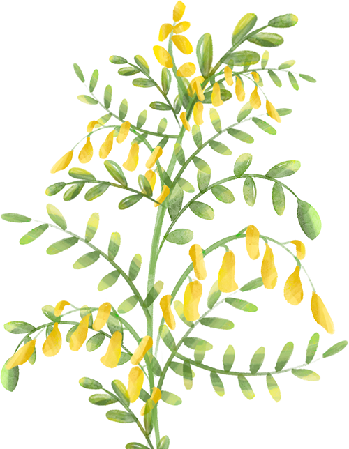 7fd6493f69c6e05cdc3e4fc2f3f0f3ea.png