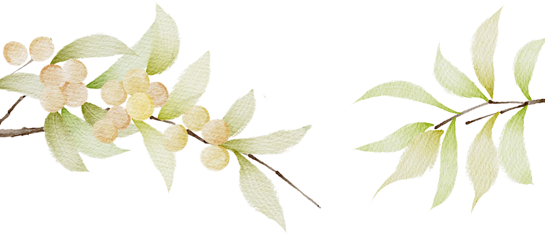 a39774fbb375be0ed2cef9ed85ec516f.png