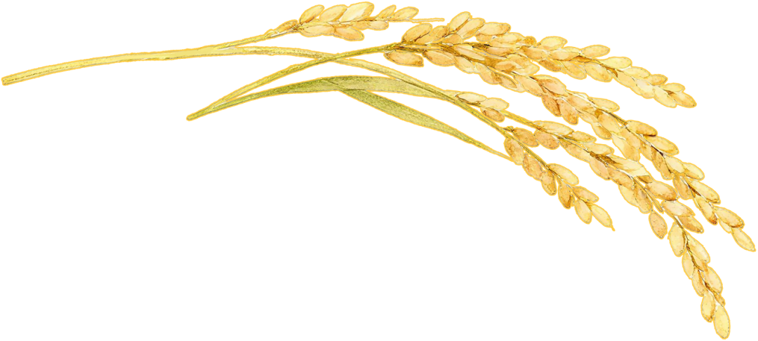 a77cb2ea50aeddaa682d5f968804783c.png