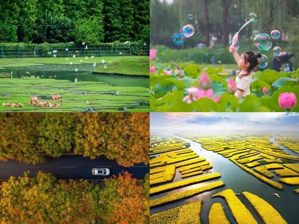 165314d43cnmgd2msg63oc.jpeg