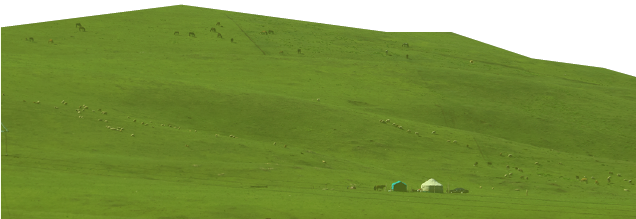 080806tnrwr6nr6tz8smjn.png