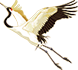 102037bpl7hq123pvzzclh.png