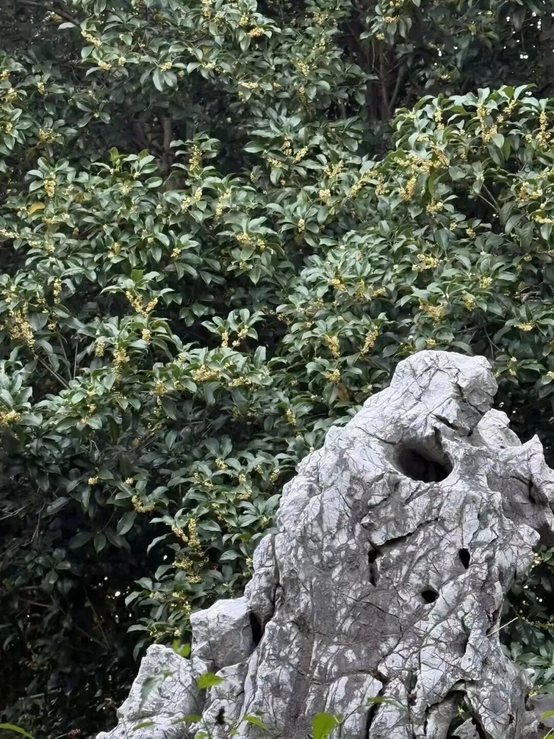 189ce31345420214bdcd5b20079f0a75.jpeg 189ce31345420214bdcd5b20079f0a75.jpeg