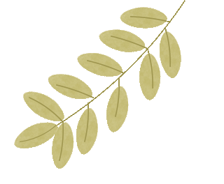 2f9c1d8254dbe5a14555a2e2f7f34659.gif 2f9c1d8254dbe5a14555a2e2f7f34659.gif