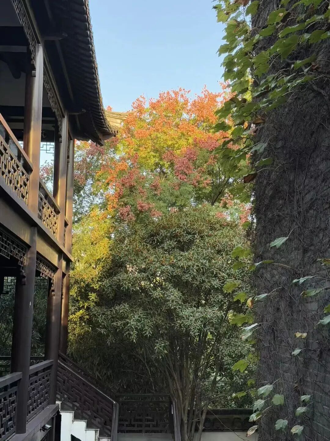 829fd77db7ffa99053128f7c08dee5f8.jpeg 829fd77db7ffa99053128f7c08dee5f8.jpeg