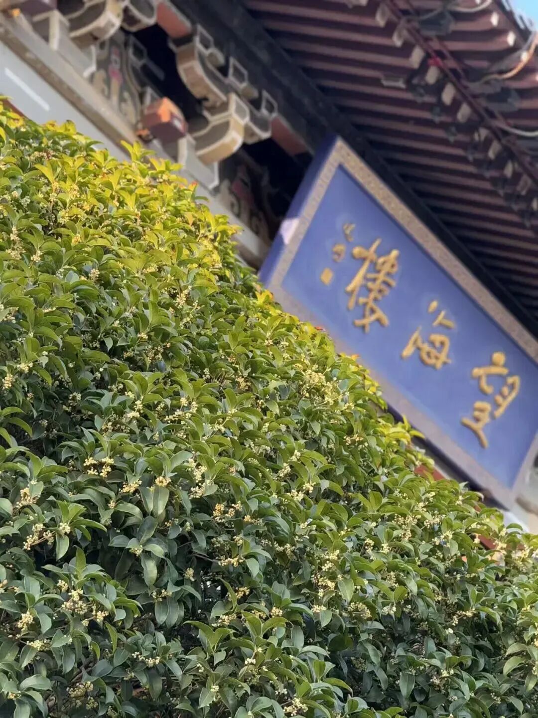 89f6383f450d45d2aee8de9172d4a9e1.jpeg 89f6383f450d45d2aee8de9172d4a9e1.jpeg