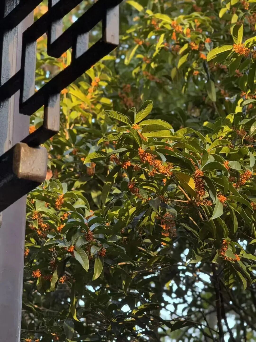 9c801781bf2e37361d767e9c78faaab4.jpeg 9c801781bf2e37361d767e9c78faaab4.jpeg