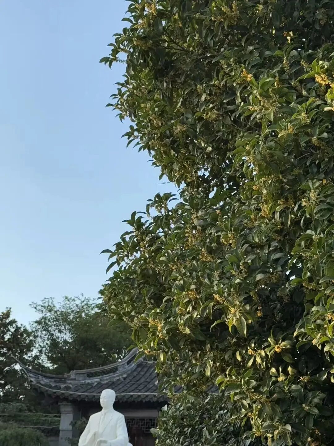 abe6ffb0037c353e8fc17ae3e0902592.jpeg abe6ffb0037c353e8fc17ae3e0902592.jpeg