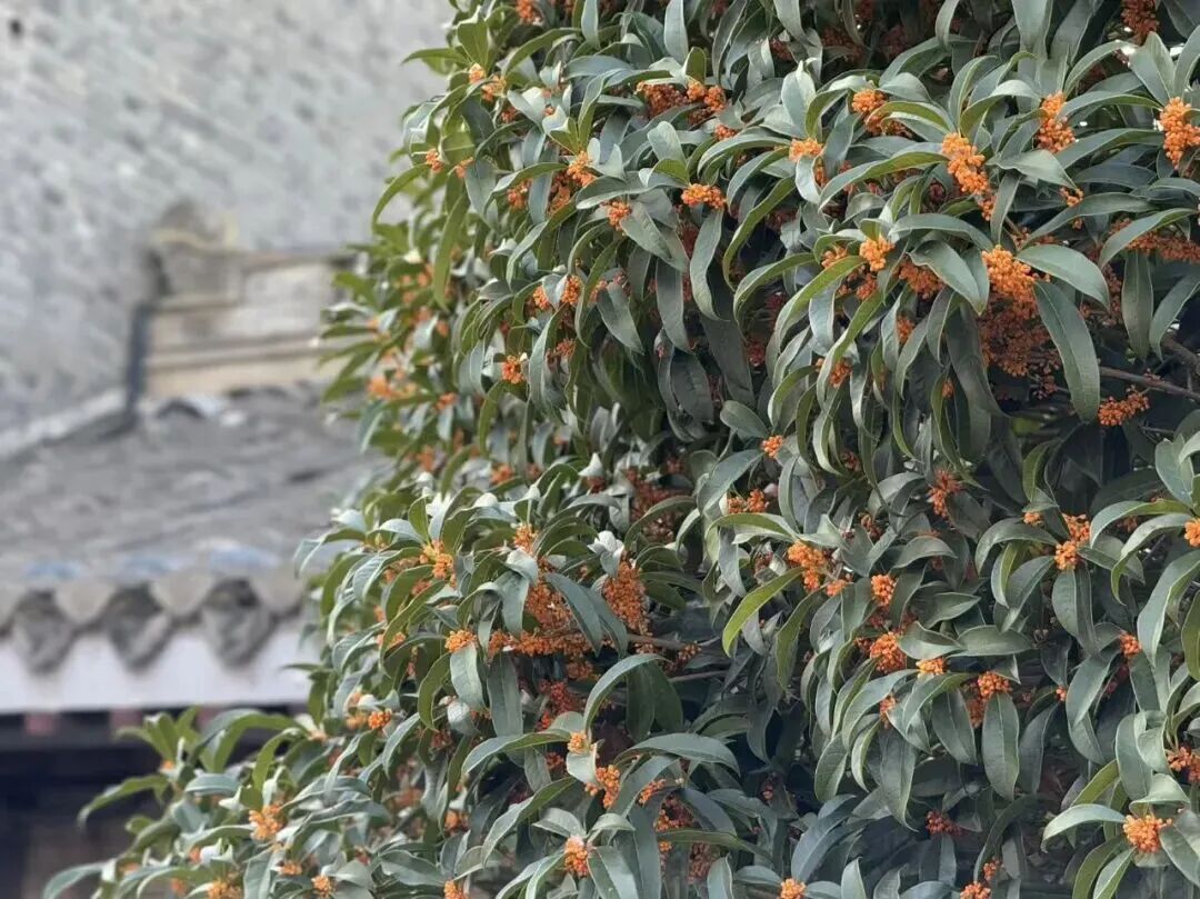 b690ed1c0916cdb4447ba11a6b57cfaf.jpeg b690ed1c0916cdb4447ba11a6b57cfaf.jpeg