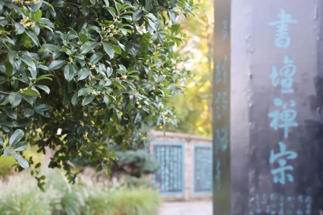 c993a8a6c2f7f82dddb27f3d1a54523d.jpeg c993a8a6c2f7f82dddb27f3d1a54523d.jpeg