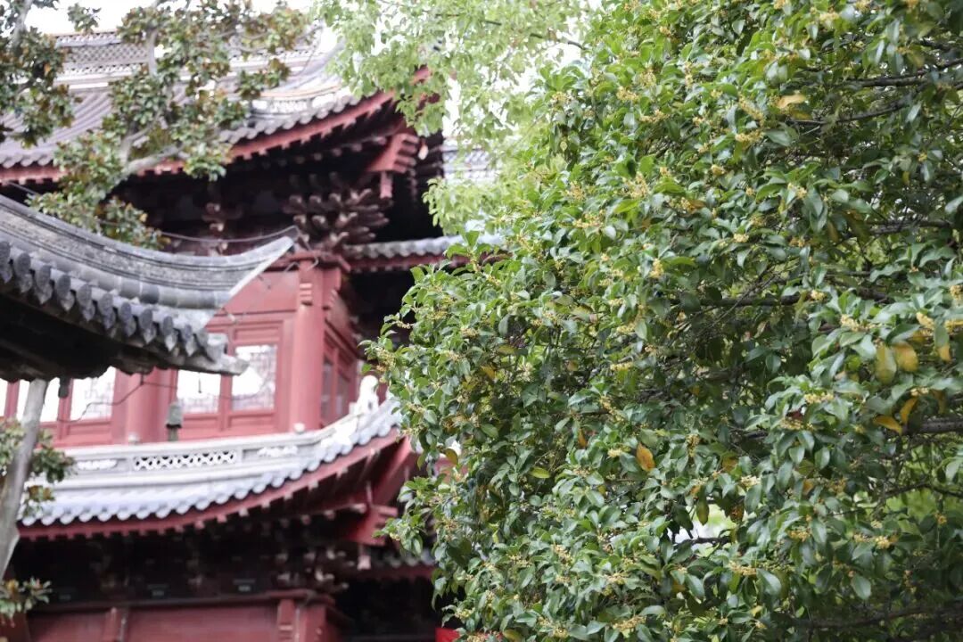 ccc69a3a9921d03760607f7c8c01a586.jpeg ccc69a3a9921d03760607f7c8c01a586.jpeg