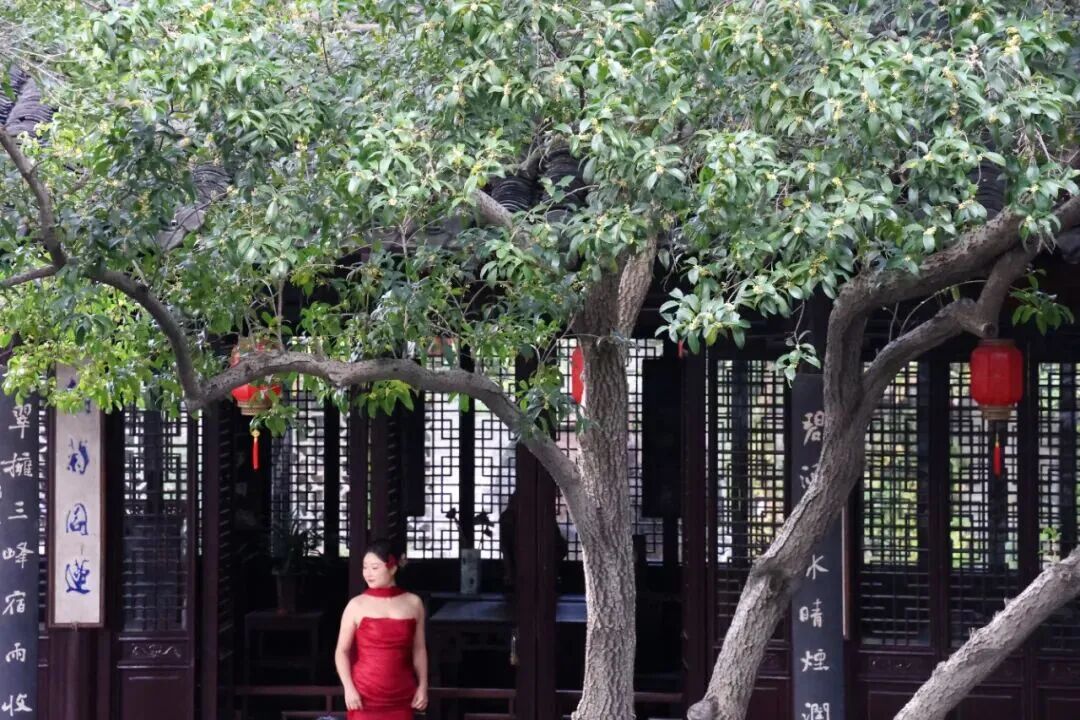 e07c5fbaefb36b4c4980464b595157ea.jpeg e07c5fbaefb36b4c4980464b595157ea.jpeg