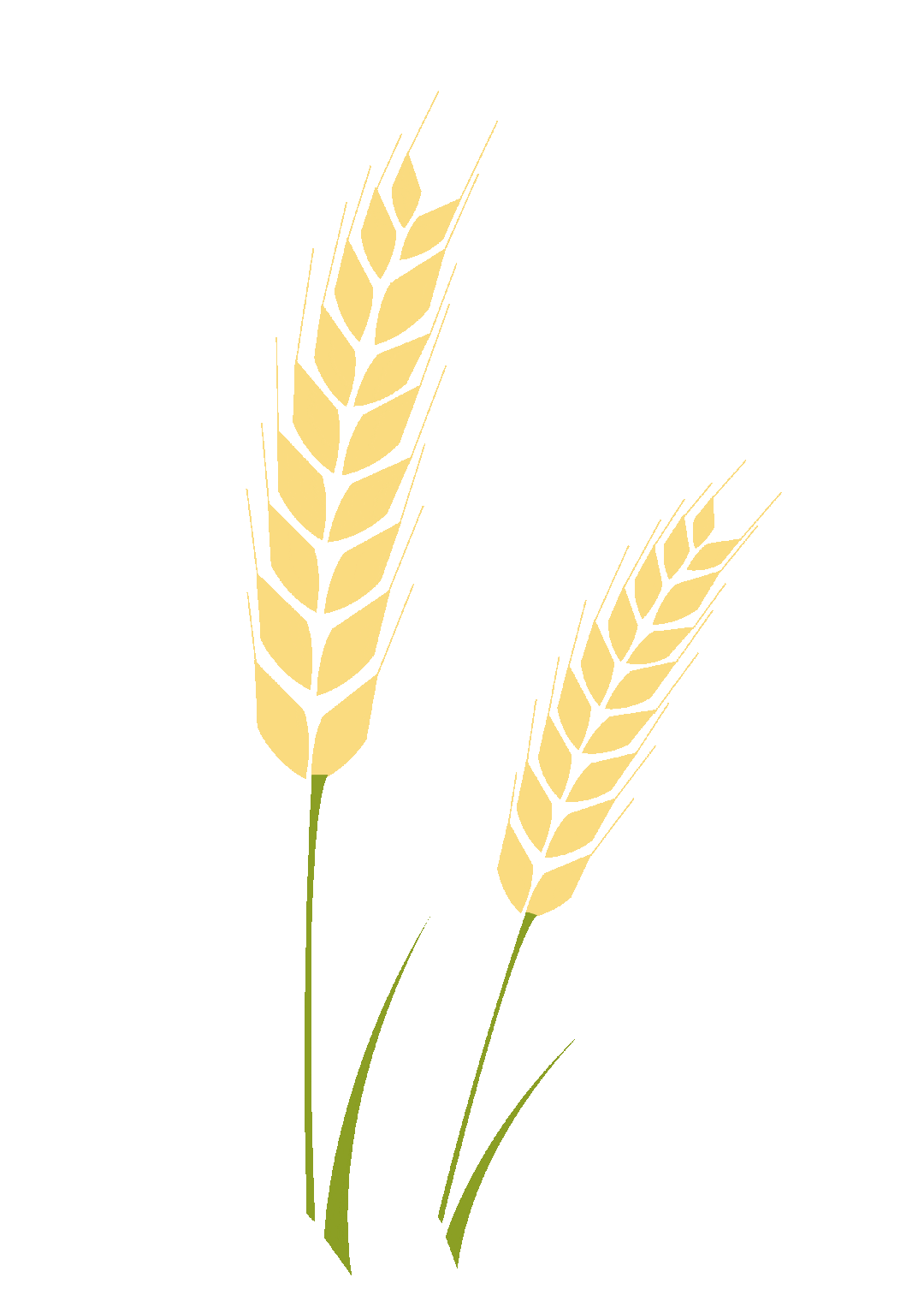 20bcd9dbf68d8aaa00376e2bd1a52eef.gif 20bcd9dbf68d8aaa00376e2bd1a52eef.gif