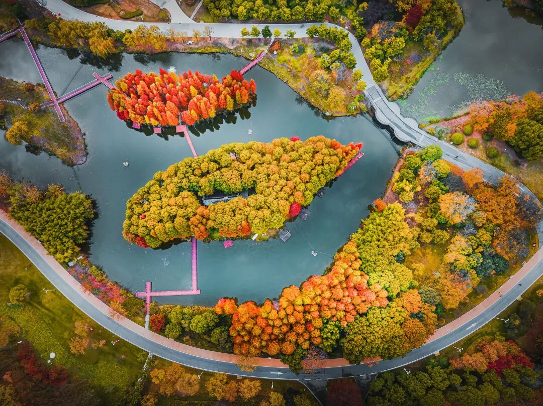 101f7a1df1b9c0602db1d998a68cabb3.jpeg 101f7a1df1b9c0602db1d998a68cabb3.jpeg