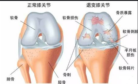 1937e47923950608459fcf3151ae2300.png 1937e47923950608459fcf3151ae2300.png