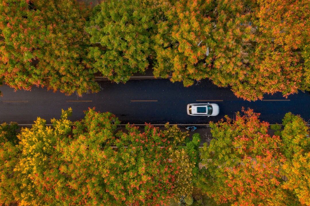 29619f875af06aa1c6754ba3567e81e2.jpeg 29619f875af06aa1c6754ba3567e81e2.jpeg