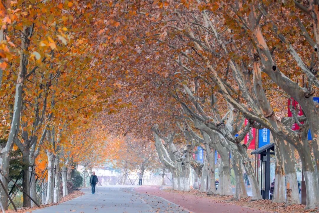 4f8ad278ecaaa1e2e35b12d990b97a3e.jpeg 4f8ad278ecaaa1e2e35b12d990b97a3e.jpeg