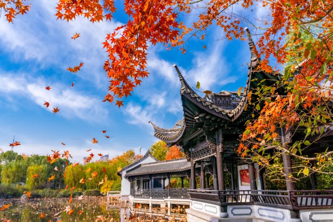 5e19e2b13f91954981e4e1e621db2768.jpeg 5e19e2b13f91954981e4e1e621db2768.jpeg