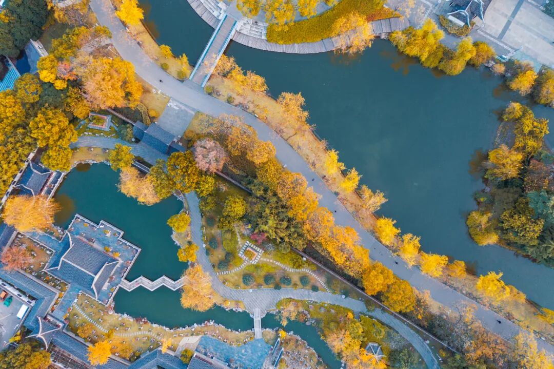 9278e5d72c7e968585176313d5277dd5.jpeg 9278e5d72c7e968585176313d5277dd5.jpeg