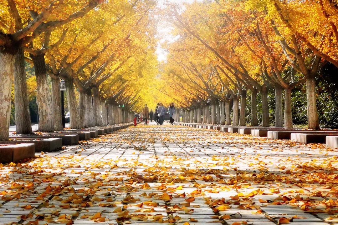 9b8c71837c3ff10bb8f4017b2f7adea3.jpeg 9b8c71837c3ff10bb8f4017b2f7adea3.jpeg